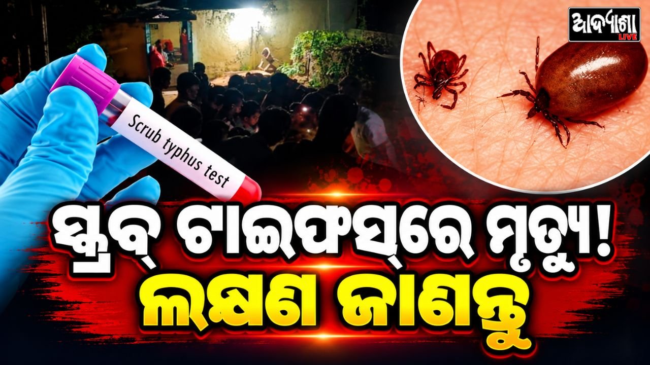 || ଅନୁଗୋଳରେ ସ୍କ୍ରବ୍ ଟାଇଫସ୍‌ରେ ମୃତ୍ୟୁ, ସତର୍କ ରୁହନ୍ତୁ! ||
